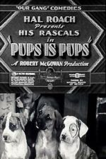 Watch Pups Is Pups 0123movies