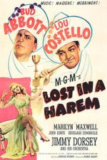 Watch Lost in a Harem 0123movies