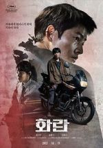 Watch Hopeless 0123movies
