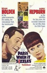 Watch Paris When It Sizzles 0123movies