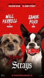 Watch Strays 0123movies