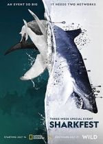 Watch Man vs. Shark 0123movies