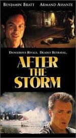 Watch After the Storm 0123movies