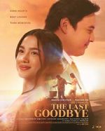 Watch The Last Goodbye 0123movies