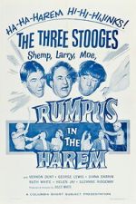 Watch Rumpus in the Harem 0123movies