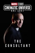 Watch Marvel One-Shot: The Consultant 0123movies