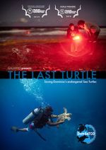 Watch The Last Turtle (Short 2019) 0123movies
