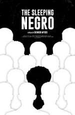 Watch The Sleeping Negro 0123movies