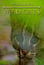 Watch Thailand's Wild Cats 0123movies