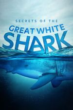 Watch Secrets of the Great White Shark 0123movies