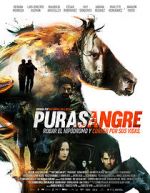 Watch Purasangre 0123movies