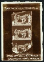 Watch Horse Shoeing 0123movies