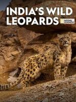 Watch India\'s Wild Leopards (Short 2020) 0123movies