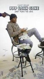 Watch PPP Loan Gone 0123movies