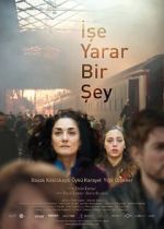 Watch Something Useful 0123movies