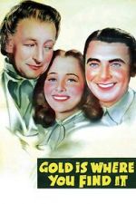 Watch Gold Is Where You Find It 0123movies