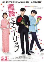 Watch Rose and Tulip 0123movies
