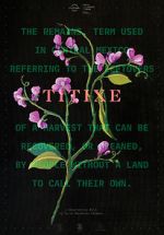 Watch Titixe 0123movies