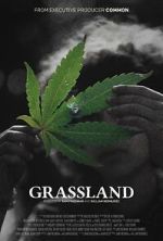 Watch Grassland 0123movies