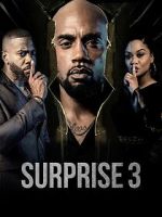 Watch Surprise 3 0123movies