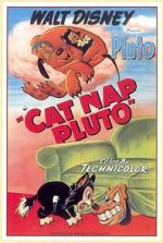 Watch Cat Nap Pluto 0123movies