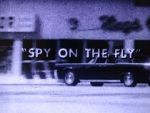 Watch Spy on the Fly (Short 1967) 0123movies