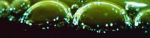 Watch Zea (Short 1981) 0123movies