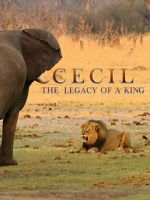 Watch Cecil: The Legacy of a King 0123movies