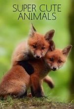 Watch Super Cute Animals 0123movies