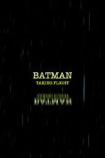 Watch Batman: Taking Flight 0123movies