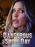 Watch Dangerous Snow Day 0123movies