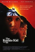 Watch The Karate Kid Part III 0123movies