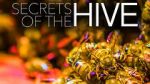 Watch Secrets of the Hive 0123movies