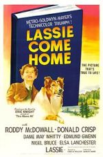 Watch Lassie Come Home 0123movies