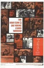 Watch Having a Wild Weekend 0123movies