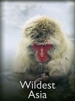 Watch Wildest Asia 0123movies