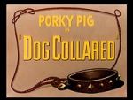Watch Dog Collared (Short 1950) 0123movies