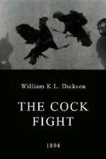 Watch The Cock Fight 0123movies