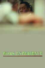 Watch Work Experience 0123movies