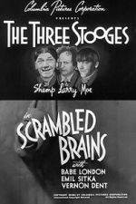 Watch Scrambled Brains 0123movies