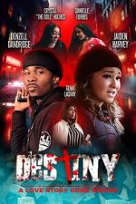 Watch Destiny: A Love Story Gone Wrong 0123movies